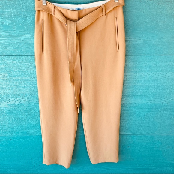 ARITZIA WILFRED HIGH WAIST BELTED EFFORTLESS TROUSERS NEUTRAL TAN SIZE 12 - Picture 1 of 8